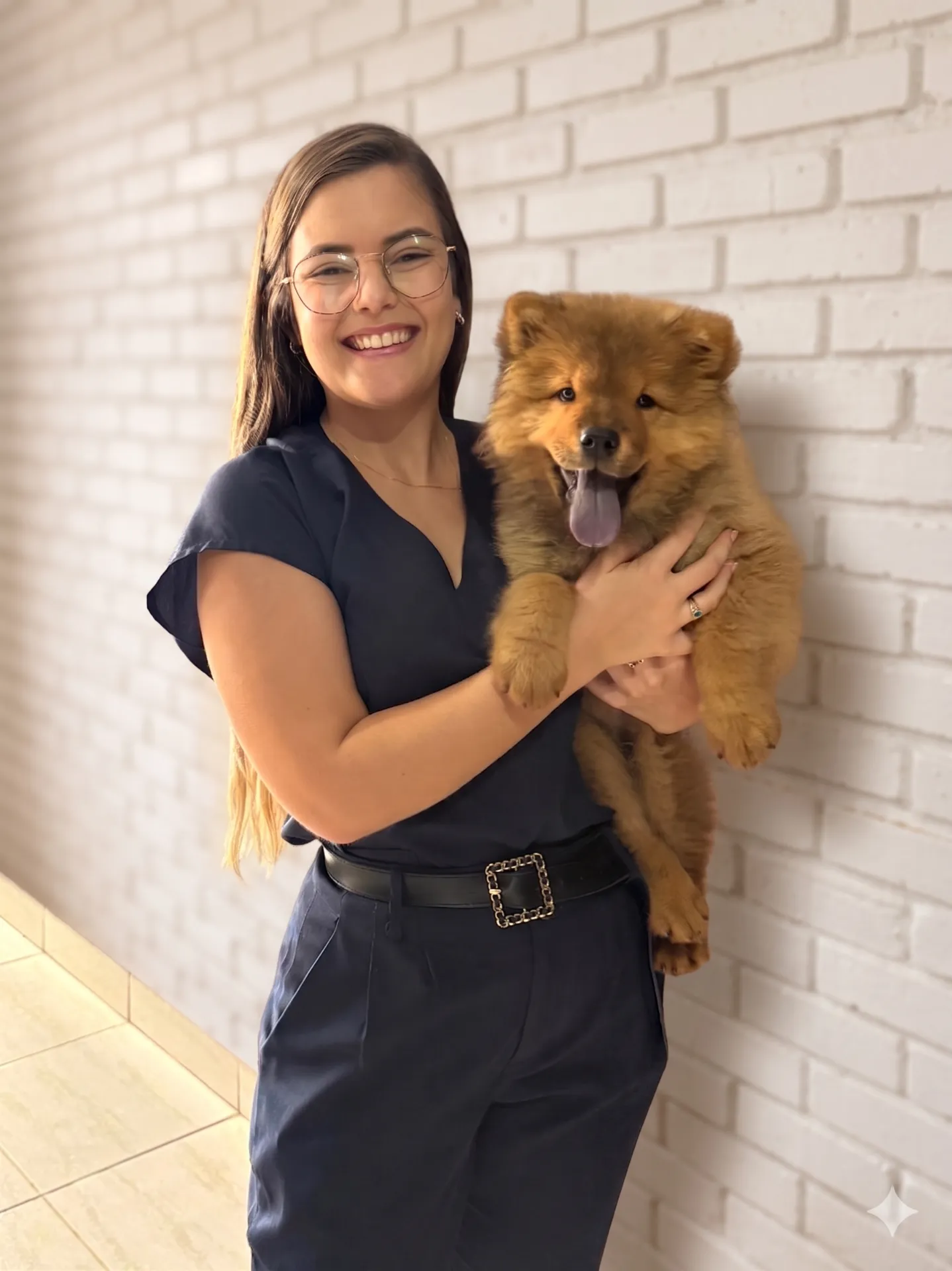 Dra Raphaella: Vet a dom - hero